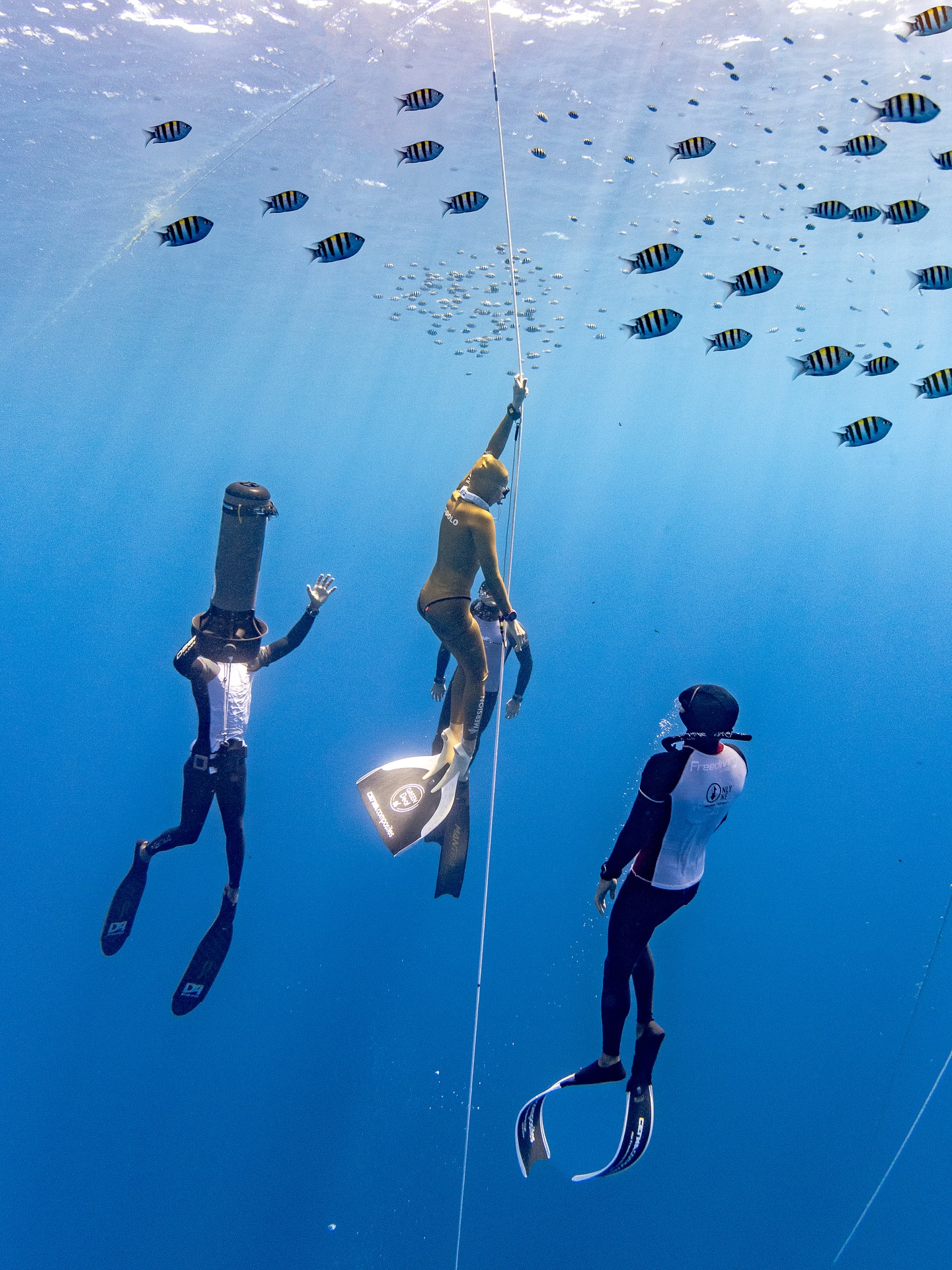 Alice Modolo – 102m Record de France