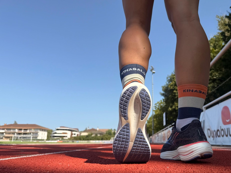 Mizuno Wave Rider 29 – La polyvalence revisitée