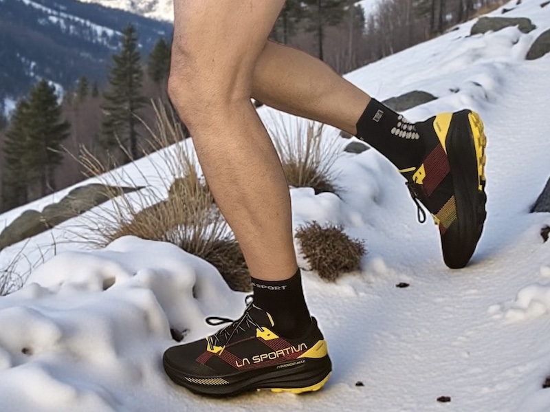 Prodigio Max — Reine des sommets