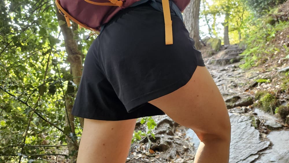 PÜLS/PULS - Thumbnail